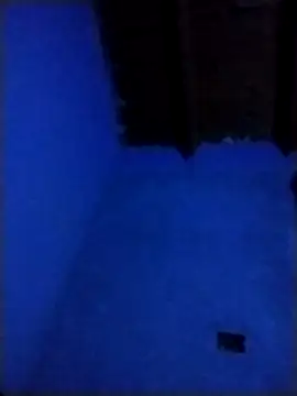 pmalvado912 online show from March 28, 2026, 5:07 am