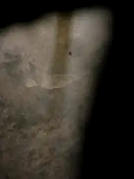 Yasha 14C Creator online show from October 31, 2025, 4:57 am