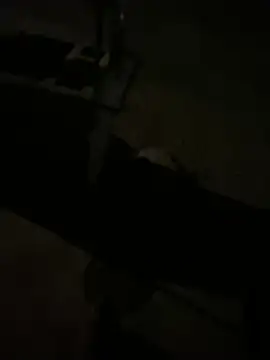 nowex18 online show from March 11, 2026, 6:41 am