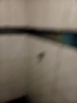 ladygmusic online show from February 6, 2026, 8:51 am