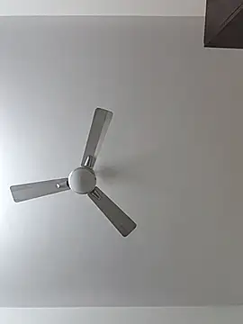 Snapshot of Manboobs178 chatting on February 11, 2026, 12:10 pm Manboobs178 online show from February 11, 2026, 12:10 pm