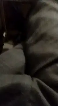 myhot1551 online show from February 15, 2025, 4:25 am