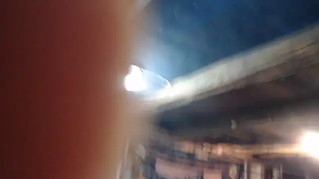 Newfiesausage1972 online show from February 21, 2026, 9:27 pm