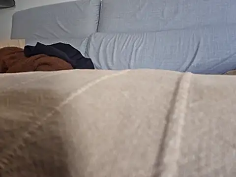 PeDrO2024 25 online show from February 26, 2026, 11:53 am