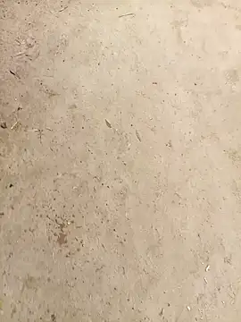 Snapshot of RockyNonStop chatting on January 3, 2025, 4:44 am RockyNonStop online show from January 3, 2025, 4:44 am