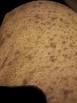 Snapshot of RockyNonStop chatting on January 22, 2025, 9:54 pm RockyNonStop online show from January 22, 2025, 9:54 pm