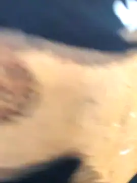 martinna tay online show from March 1, 2026, 3:19 am