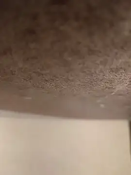 Alex flair online show from March 17, 2026, 2:20 pm