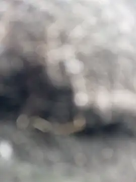  andrea30 online show from October 30, 2025, 12:06 pm