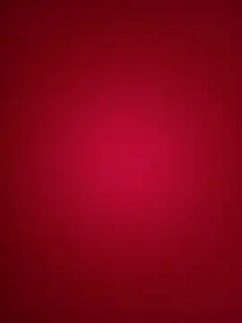 mulino12 online show from February 4, 2025, 12:55 pm