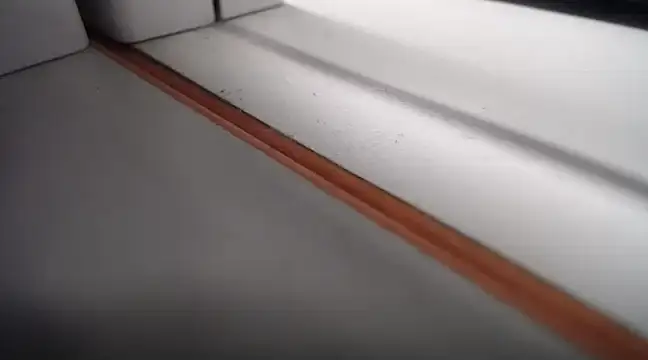 Lovensetest online show from February 24, 2025, 9:21 am