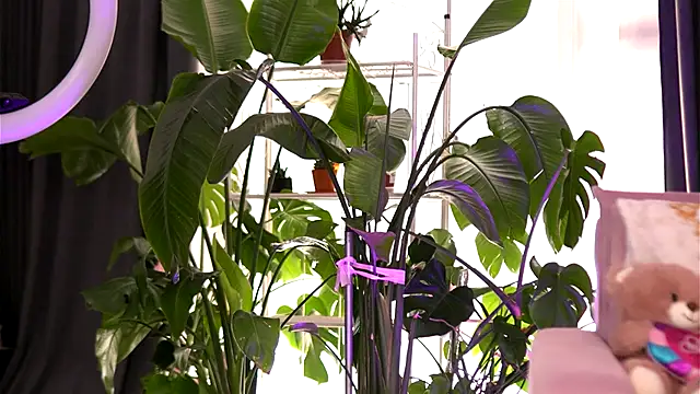 EmilyRaymont online show from September 21, 2025, 5:20 am