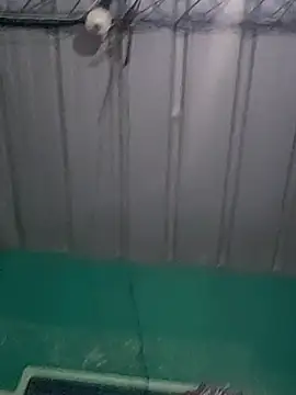 Cris29 84 online show from February 24, 2026, 8:23 am