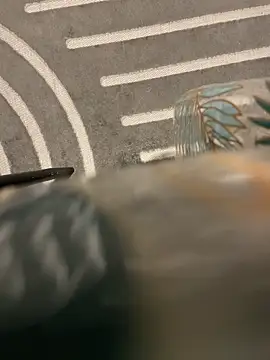 dimitriei online show from November 15, 2025, 6:22 am