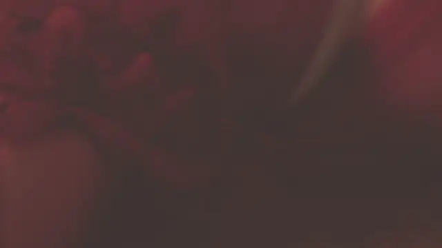 oxiris 1 online show from January 16, 2025, 1:48 am