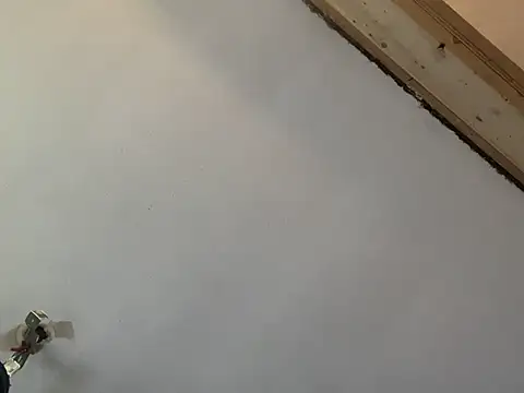 Brando2585 online show from March 7, 2026, 2:03 pm