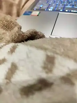 Snapshot of Bemgalado chatting on January 3, 2025, 8:22 pm Bemgalado online show from January 3, 2025, 8:22 pm