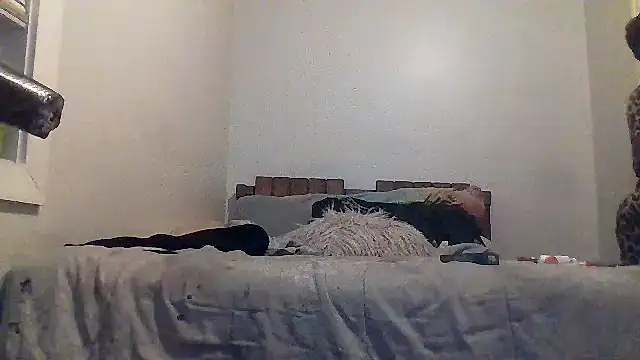 Snapshot of AllLeggs chatting on March 20, 2026, 3:33 am AllLeggs online show from March 20, 2026, 3:33 am