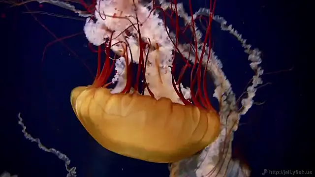 Snapshot of streamy_test11 chatting on February 24, 2026, 1:20 pm streamy test11 online show from February 24, 2026, 1:20 pm