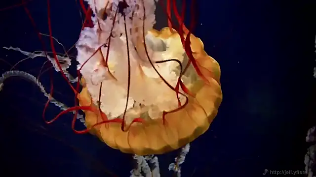 Snapshot of streamy_test11 chatting on February 26, 2026, 3:11 pm streamy test11 online show from February 26, 2026, 3:11 pm