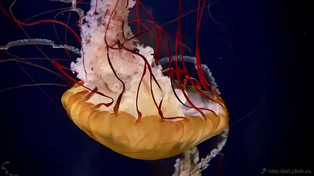 Snapshot of streamy_test11 chatting on February 27, 2026, 11:54 am streamy test11 online show from February 27, 2026, 11:54 am