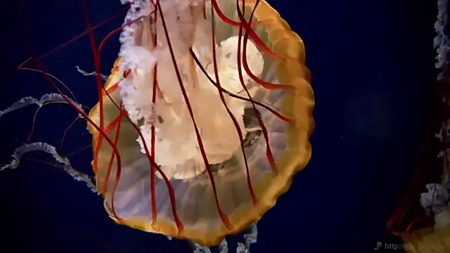 Snapshot of streamy_test11 chatting on March 16, 2026, 3:38 pm streamy test11 online show from March 16, 2026, 3:38 pm