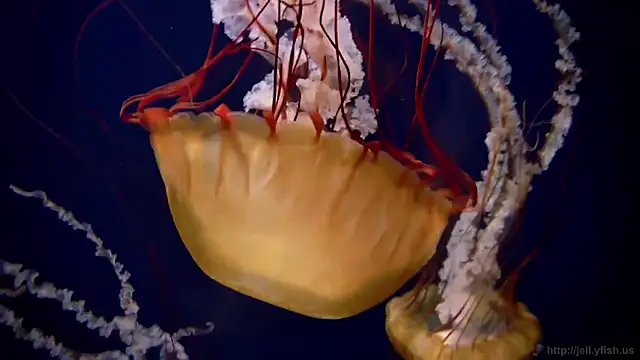 Snapshot of streamy_test11 chatting on March 18, 2026, 4:32 pm streamy test11 online show from March 18, 2026, 4:32 pm