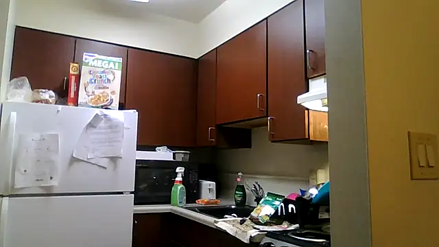 DreamvilleINC online show from November 2, 2025, 11:51 pm