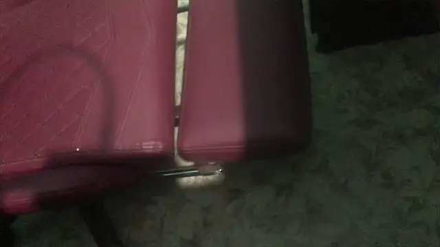 telugu boy  online show from February 7, 2025, 1:11 pm