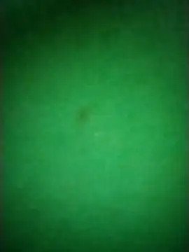 Zane Natha online show from November 10, 2025, 12:53 am