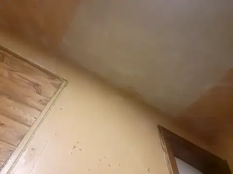 Snapshot of BigDDave6979 chatting on March 14, 2025, 5:48 am BigDDave6979 online show from March 14, 2025, 5:48 am