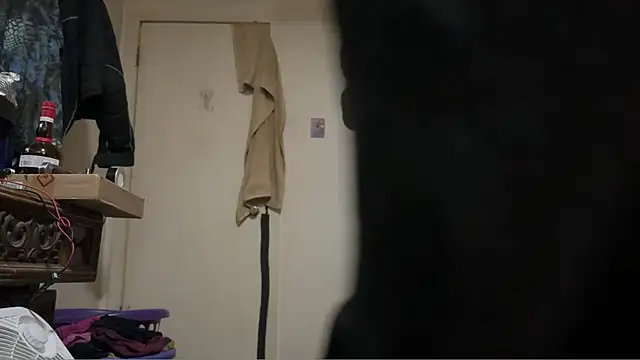 pipeload1275 online show from March 5, 2026, 3:24 am