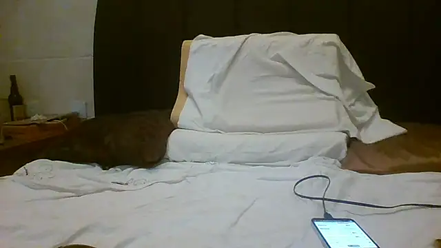 Denisilboss online show from March 24, 2026, 3:50 pm