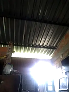 natally ross21 online show from April 17, 2026, 11:57 am