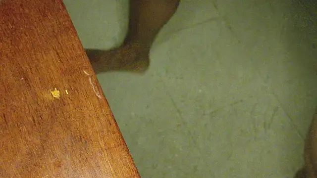 Snapshot of KingCobraClassy chatting on March 11, 2025, 9:15 pm KingCobraClassy online show from March 11, 2025, 9:15 pm