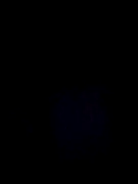 StaciGoodman online show from December 29, 2024, 3:11 am