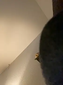 goldbuni online show from December 30, 2024, 1:25 pm