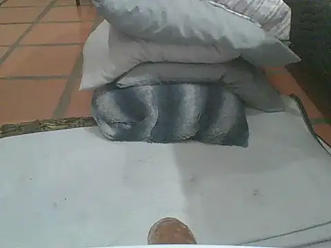 Snapshot of MrPatrick777 chatting on February 4, 2026, 3:56 am MrPatrick777 online show from February 4, 2026, 3:56 am