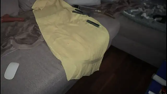 Snapshot of swissMen_DE chatting on February 19, 2025, 8:12 am swissMen DE online show from February 19, 2025, 8:12 am