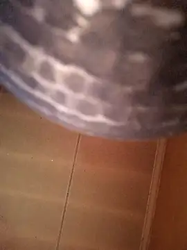 Snapshot of SashaahXXX chatting on February 12, 2026, 3:40 pm SashaahXXX online show from February 12, 2026, 3:40 pm