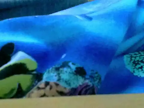 Snapshot of zhan7965 chatting on December 30, 2024, 1:03 pm zhan7965 online show from December 30, 2024, 1:03 pm