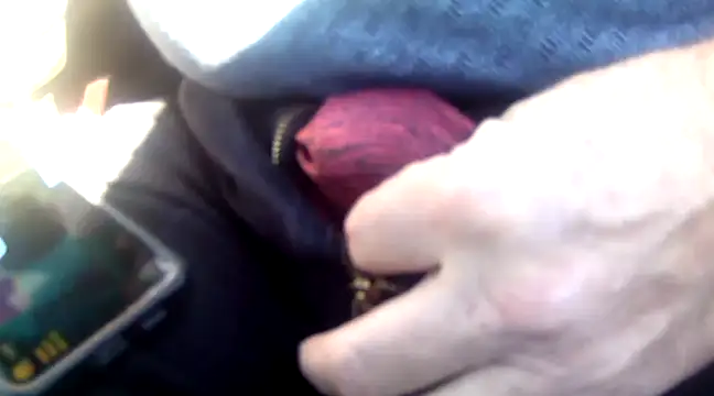 Snapshot of Policeman20742 chatting on December 3, 2024, 5:45 pm Policeman20742 online show from December 3, 2024, 5:45 pm