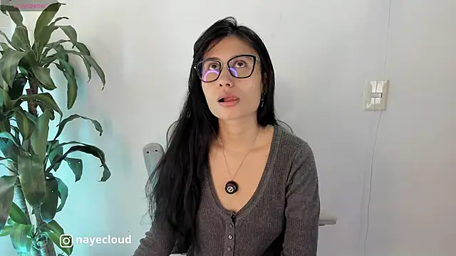 Snapshot of NayeCloud chatting on May 14, 2026, 2:57 pm NayeCloud online show from May 14, 2026, 2:57 pm