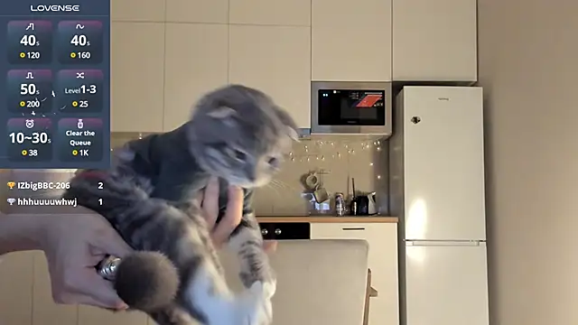 Snapshot of fairy_di chatting on December 23, 2024, 12:46 am fairy di online show from December 23, 2024, 12:46 am