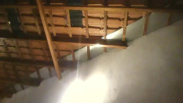 Sarahmonesexy online show from September 15, 2025, 1:49 am