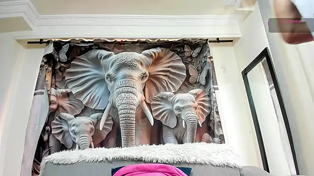 Joao Batista Oficial online show from October 16, 2025, 5:03 pm