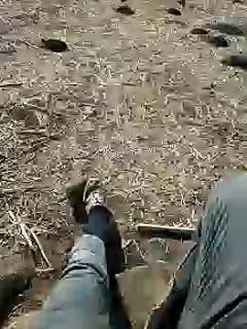 Snapshot of murokkk31 chatting on December 3, 2024, 8:38 am murokkk31 online show from December 3, 2024, 8:38 am