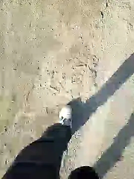 Snapshot of murokkk31 chatting on December 31, 2024, 11:20 am murokkk31 online show from December 31, 2024, 11:20 am