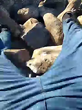 Snapshot of murokkk31 chatting on January 10, 2025, 7:35 am murokkk31 online show from January 10, 2025, 7:35 am