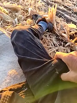 Snapshot of murokkk31 chatting on September 24, 2025, 3:21 am murokkk31 online show from September 24, 2025, 3:21 am